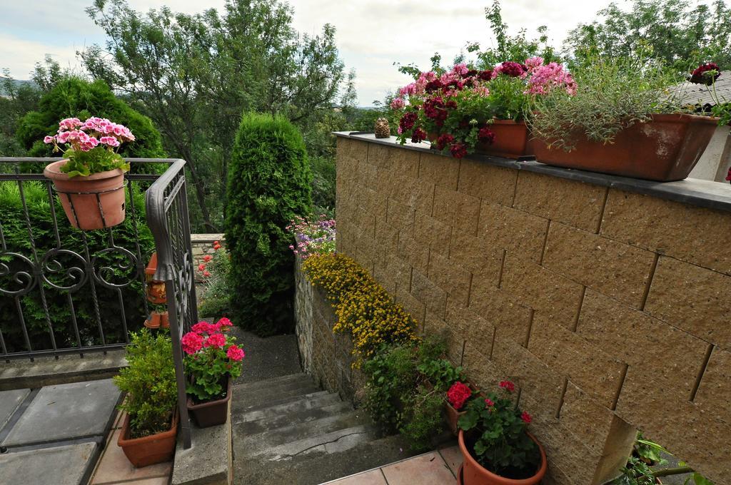 Hotel Na Hradbach لوني المظهر الخارجي الصورة